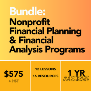 V2_Bundle_ Financial Planning AND Financial Analysis Program NFP